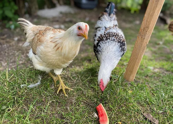 Alma Apartmán Pflach