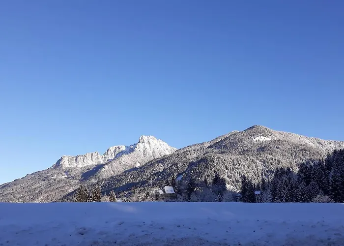 Apartmán Alma Pflach